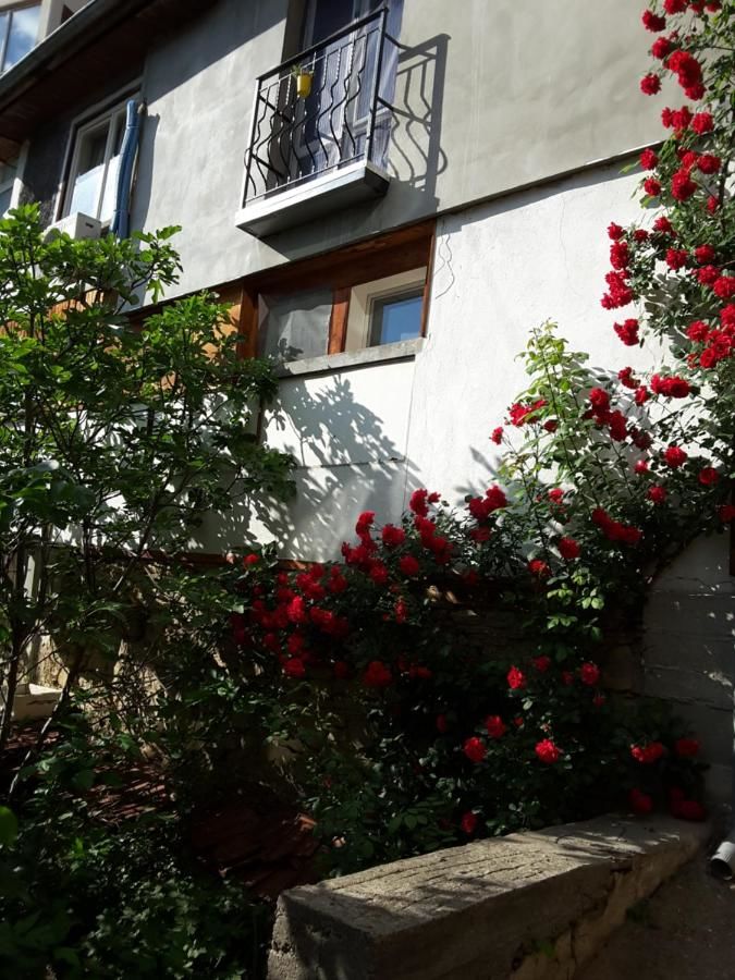 Гостевой дом Diana Guesthouse Велико-Тырново-13